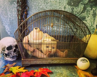 Bird Cage / Hendryx / Rustic / Wedding Bank