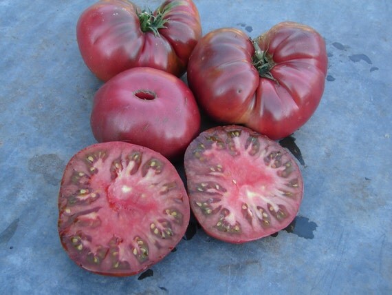 Black Brandywine Heirloom Tomato Seeds Non GMO