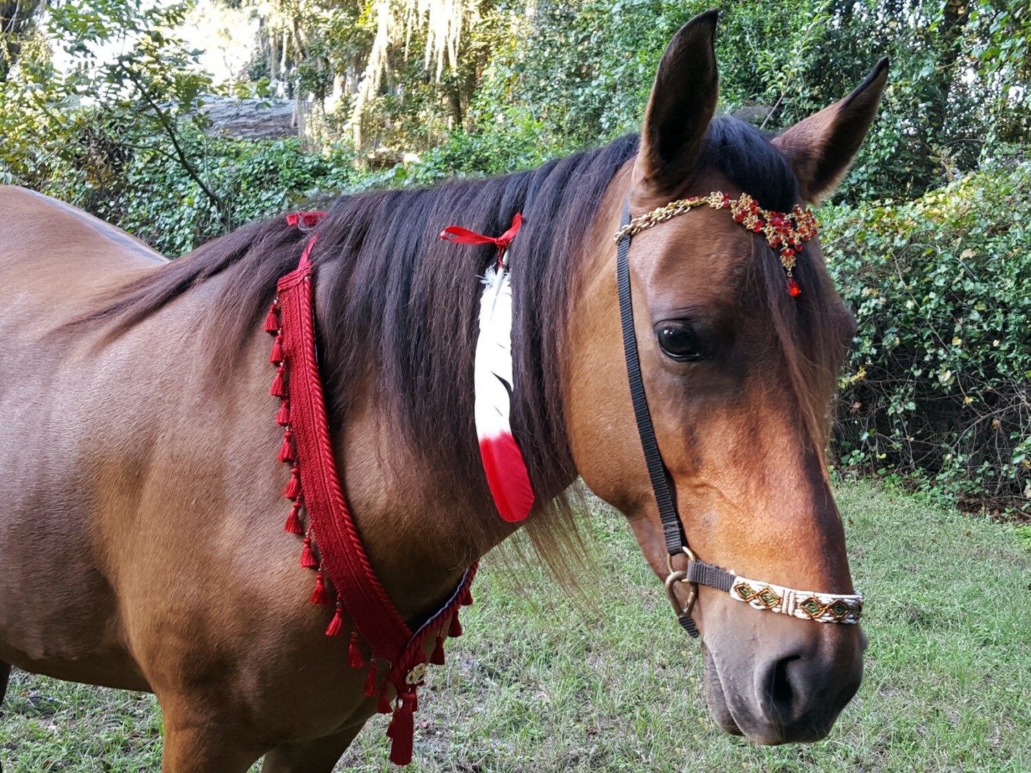 Red Tassel Breast Collar Tasseled Horse Costume Equine