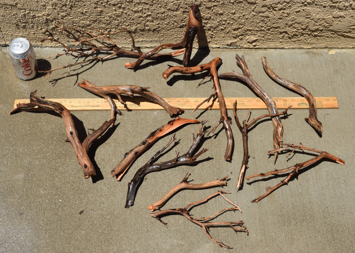 MANZANITA DRIFTWOOD nano group 13 pieces moss plant aquarium