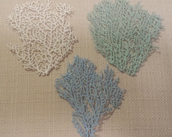 Beach Decor, 1"- 2" & 2" - 3", Sea Fan Coral, Sea Fan, Sea Fans, Coastal Decor, Nautical Decor, Beach Wedding Decor. Sea Fan Pieces