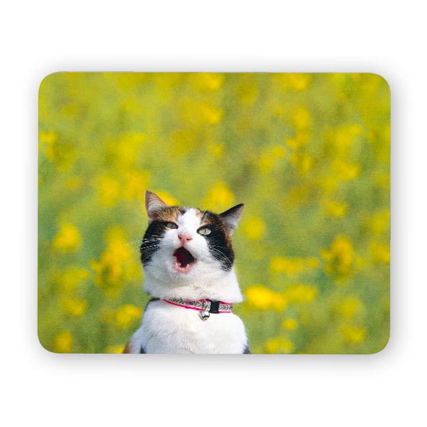 Cute cat funny desk mouse pad meme mouse pad comptuer
