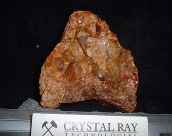 Several tan Iron Garnets in the same matrix of Marmora