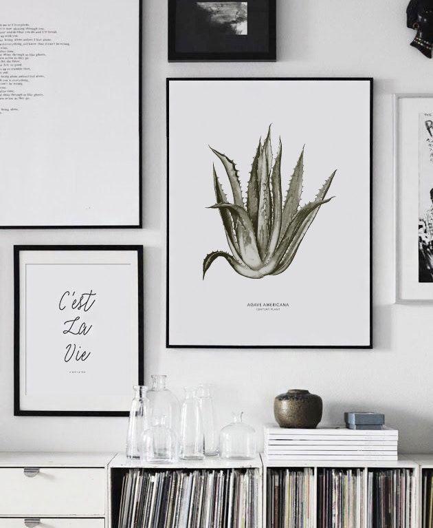 Large Agave Poster PRINTABLE FILE. Oversized by ILKADesign