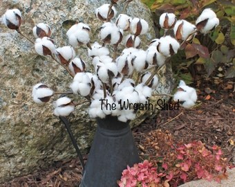 SHIPS FREE, 5-19" Natural Cotton Bolls, Cotton Boll Stems, Cotton Branches, 2nd Anniversary, Farmhouse Decor, Wedding Decor, Southern Cotton
