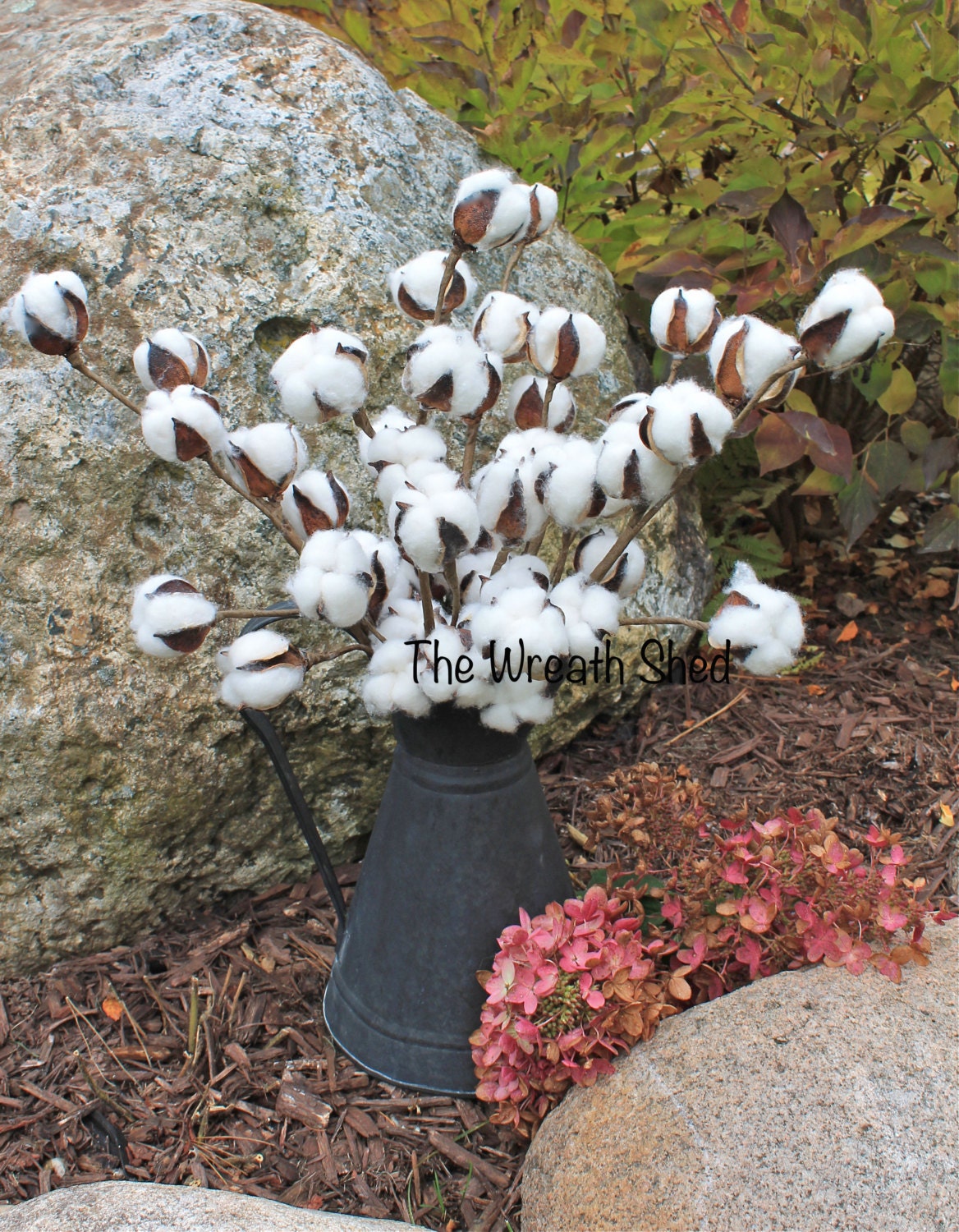 SHIPS FREE 519 Natural Cotton Bolls Cotton Boll