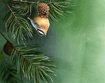 Red-Breasted Nuthatch watercolor, bird watercolor painting, bird painting, bird print, Giclee print from original watercolor painting