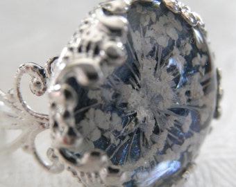 Queen Anne's Lace Victorian Filigree Pressed Flower Glass Ring Atop Glowing Teal Background-Gifts Under 20-Nature's Art- Symbolizes Peace