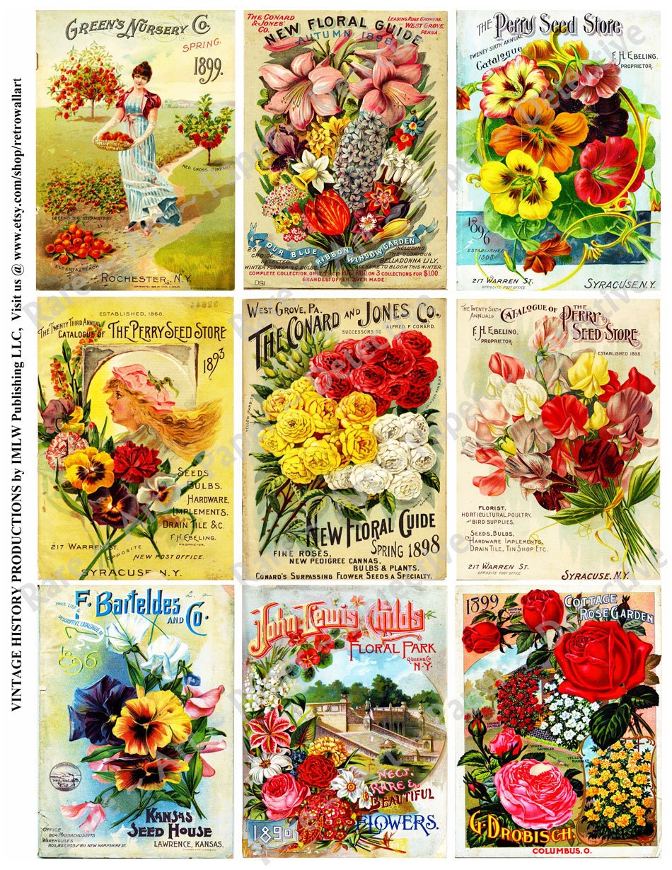 clipart vintage seed packets - photo #40
