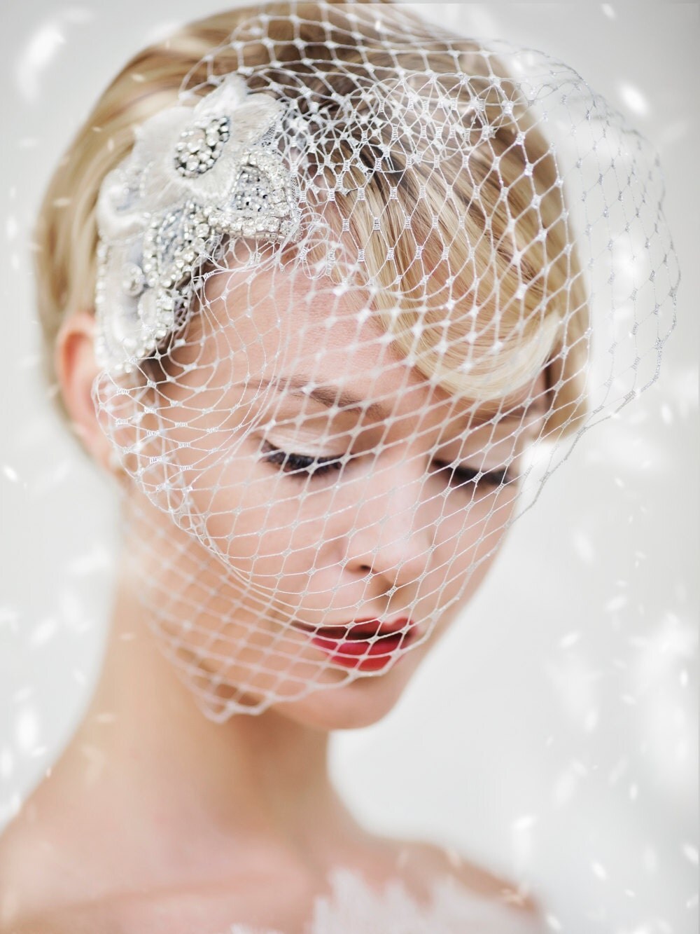 Wedding Veil Christmas Birdcage Veil Silver Crystal Veil