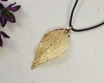 SALE Leaf Necklace, Gold Evergreen Leaf, Real Evergreen Leaf Necklace, Gold Leaf, Gold Leaf Pendant,SALE279
