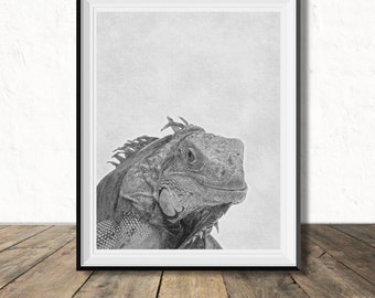 Iguana print | Etsy