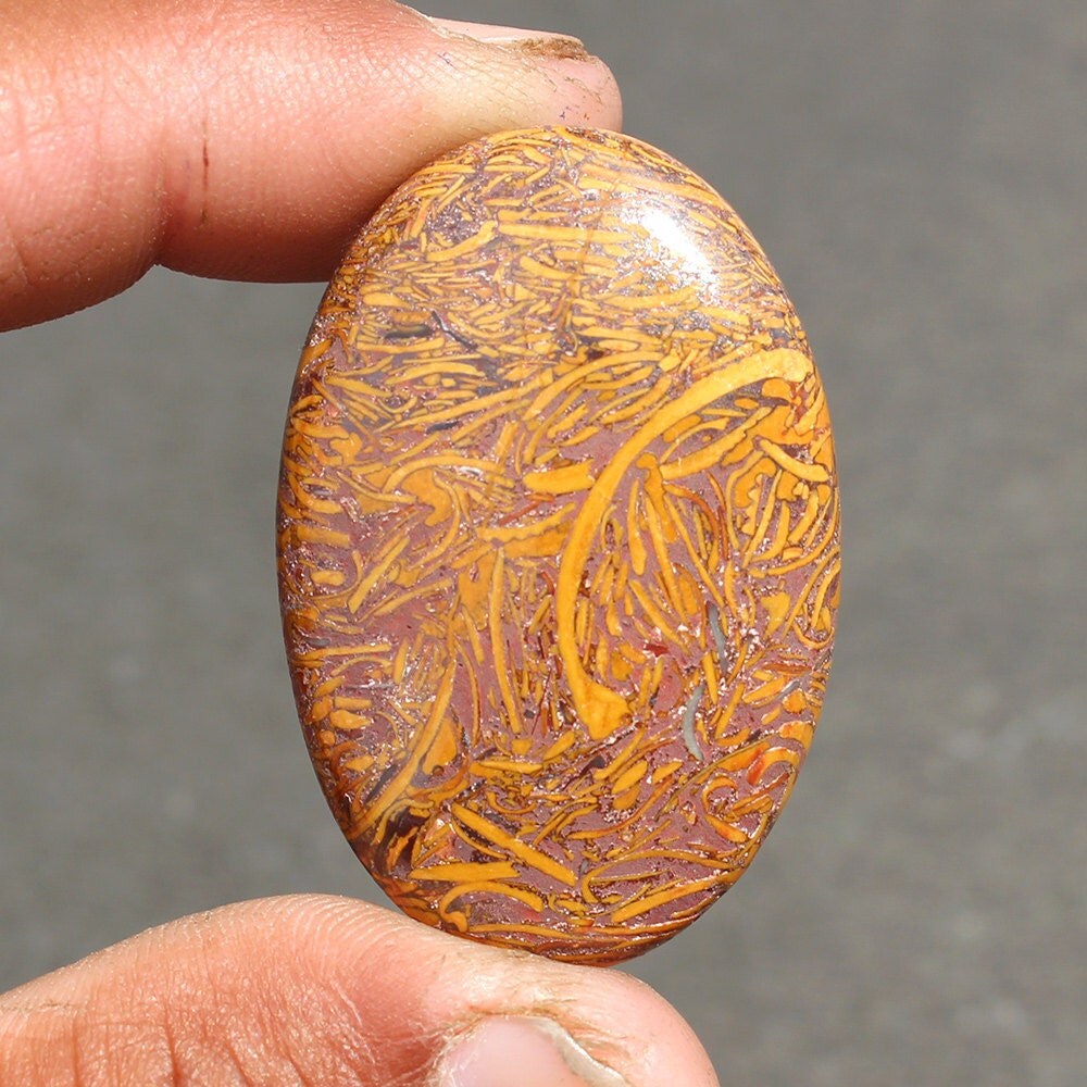 Coquina Jasper Cabochon 49.2 ct 39x26x5 mm Fossil Natural