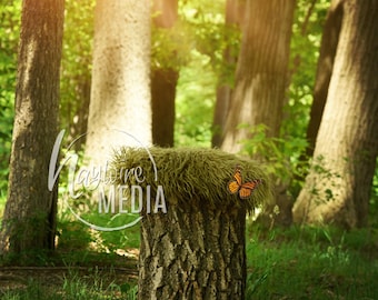 Newborn Baby Toddler Child Grass Forest Bed Tree Stump - Portrait Digital Backdrop - Photography Background - Tree Log Photo Prop - JPG