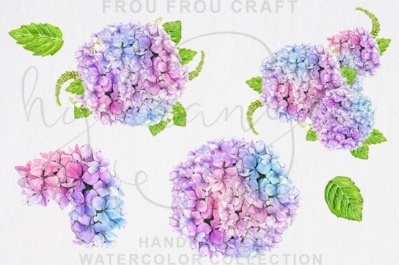 Border With Hydrangea Stock Photos Border With Hydrangea Stock