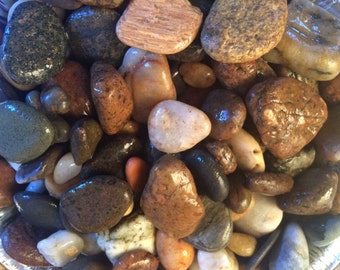 Two Cups of Authentic Provincetown Cape Cod Surf Tossed Natural Beach Stones, Pebbles and Rocks Hand Collected