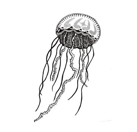 Jellyfish in Ink Black & White Print Fine Art by AliDeeganDesigns