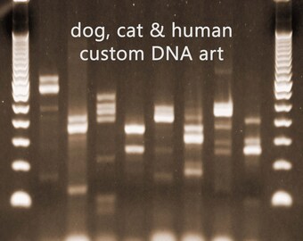 Custom DNA Art For People Dogs & Cats by DareDNA on Etsy