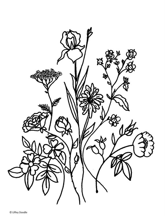 Download Flower arrangement Adult Coloring Book hand drawn