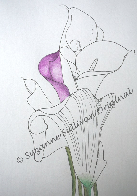 calla lillies coloring pages - photo #18