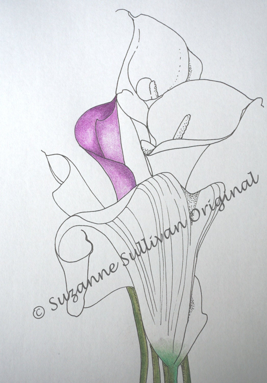 calla flowers coloring pages - photo #22