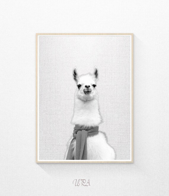 Alpaca Print Nursery Decor Alpaca Wall Art Modern