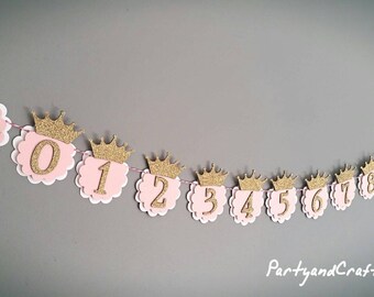 12month photo banner, princess photo garland, monthly photo bunting, photo display, First Birthday, princess themed, personalize bunting