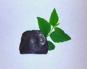 Mexican dream herb 3x extract! ( Calea Zacatechichi ) 1 gram