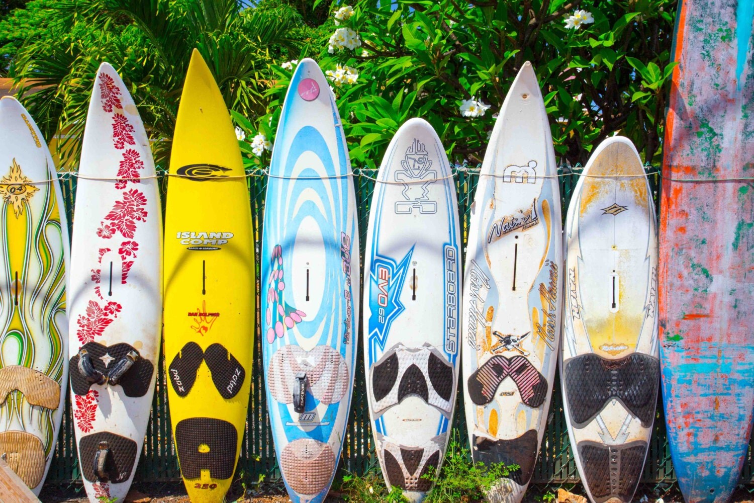 Surfboard fence in P'aia Maui Hawaii