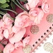 apinkposy