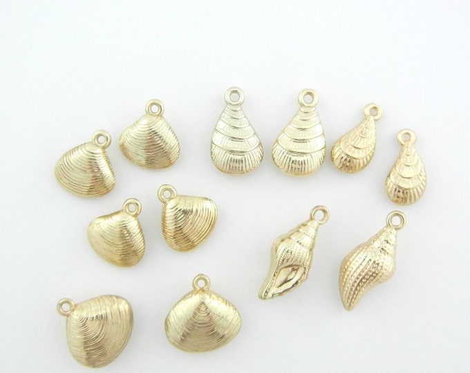 12 Dimensional Variety Seashells in Gold-tone Acrylic