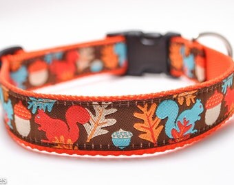 Squirrel Dog Collar / Frisky Squirrels in Brown / Custom Dog Collar / Brown, Orange