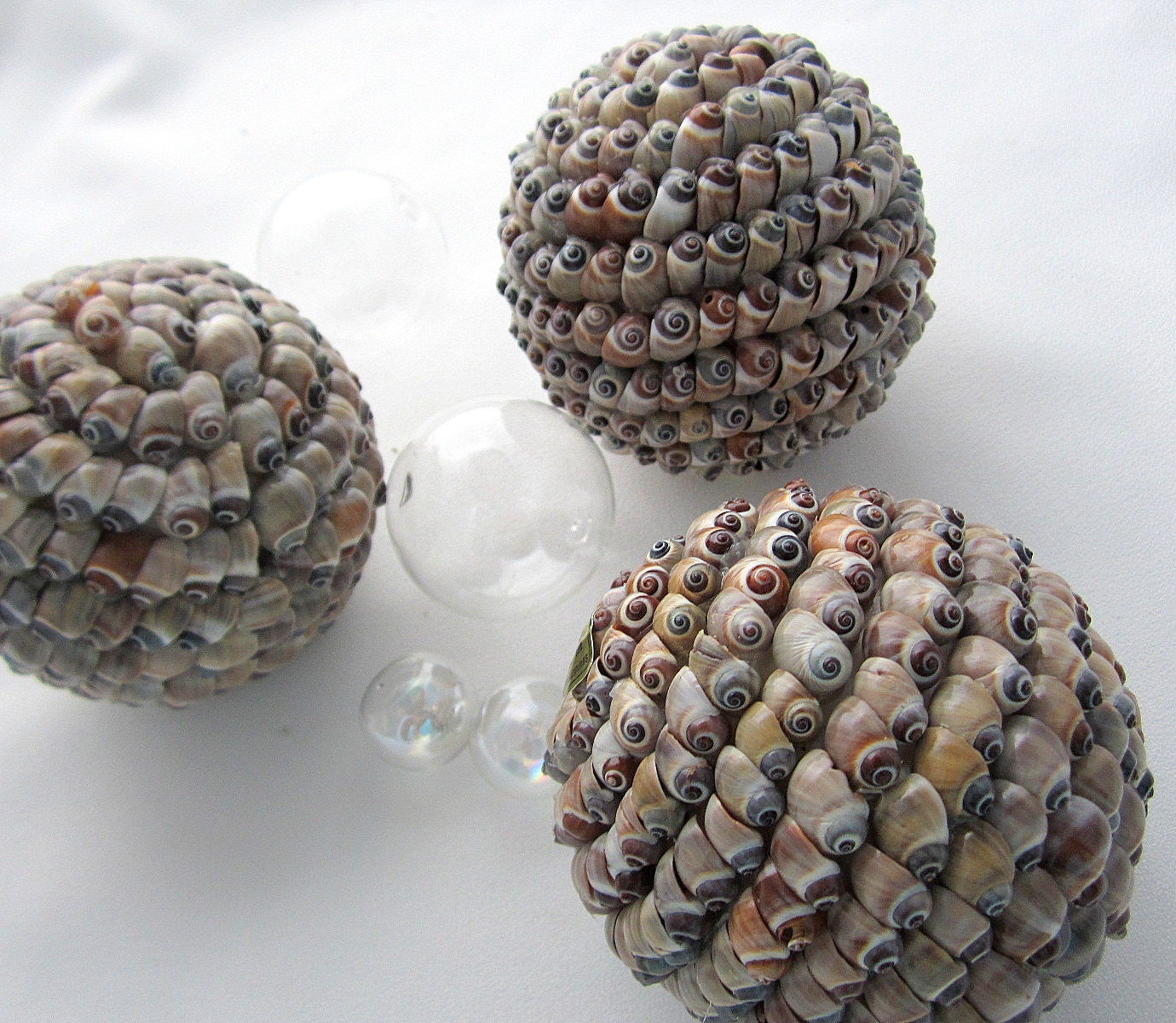 Beach Shell Balls Nautical Seashell Balls Shell Orb