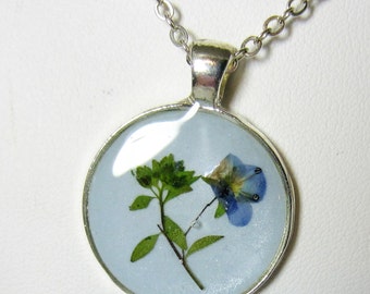 Blue is Veronica, Pressed Flower Pendant, Real Flowers in Resin, (1939)