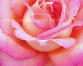 ROSE PHOTOGRAPH PRINT Wisdom Figurative Fine Art Print floral photography 8x10 Decorative