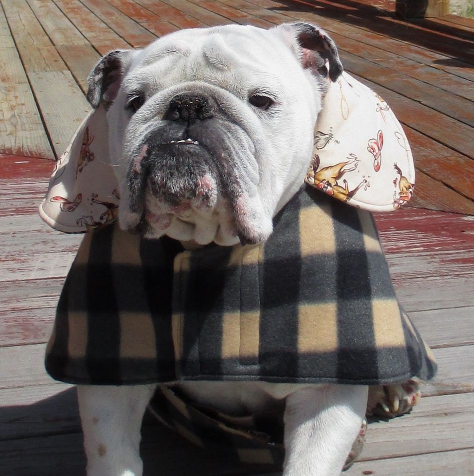 British Bulldog Coats Winter