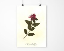 bumble bee botanicals bumble bee botanicals