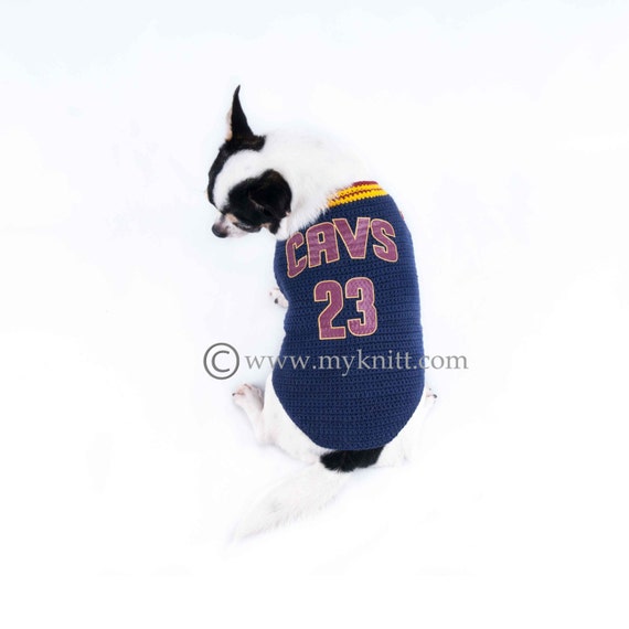 lebron dog jersey