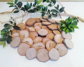 TREASURY ITEM 50 pack assortment of Oak Natural Tree Wood
