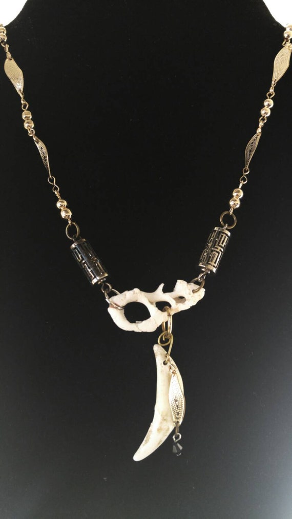 Natural shell and coyote tooth necklace.