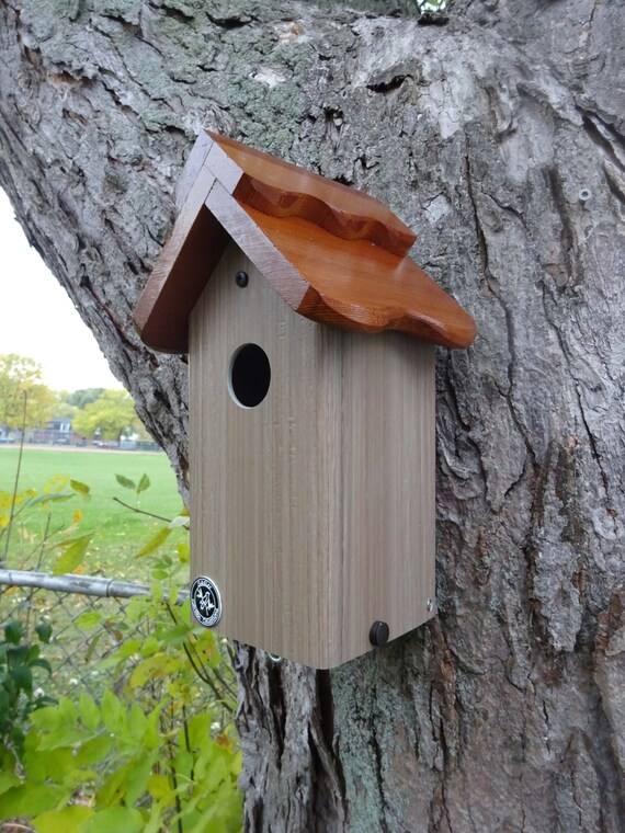 Modern Bluebird house PVC Cedar Bird house fully functional