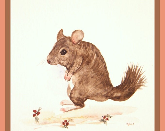 Chinchilla painting,  original watercolor,  six inch square,  wild life painting