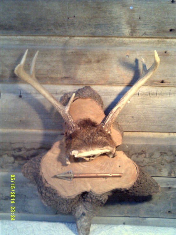 Vintage Rustic Antler Hat Rack Antler Wall Art Western Hat