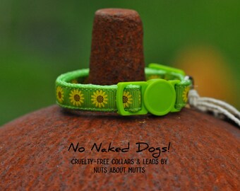Sunflowers on Lime ribbon cat collar with breakaway safety buckle