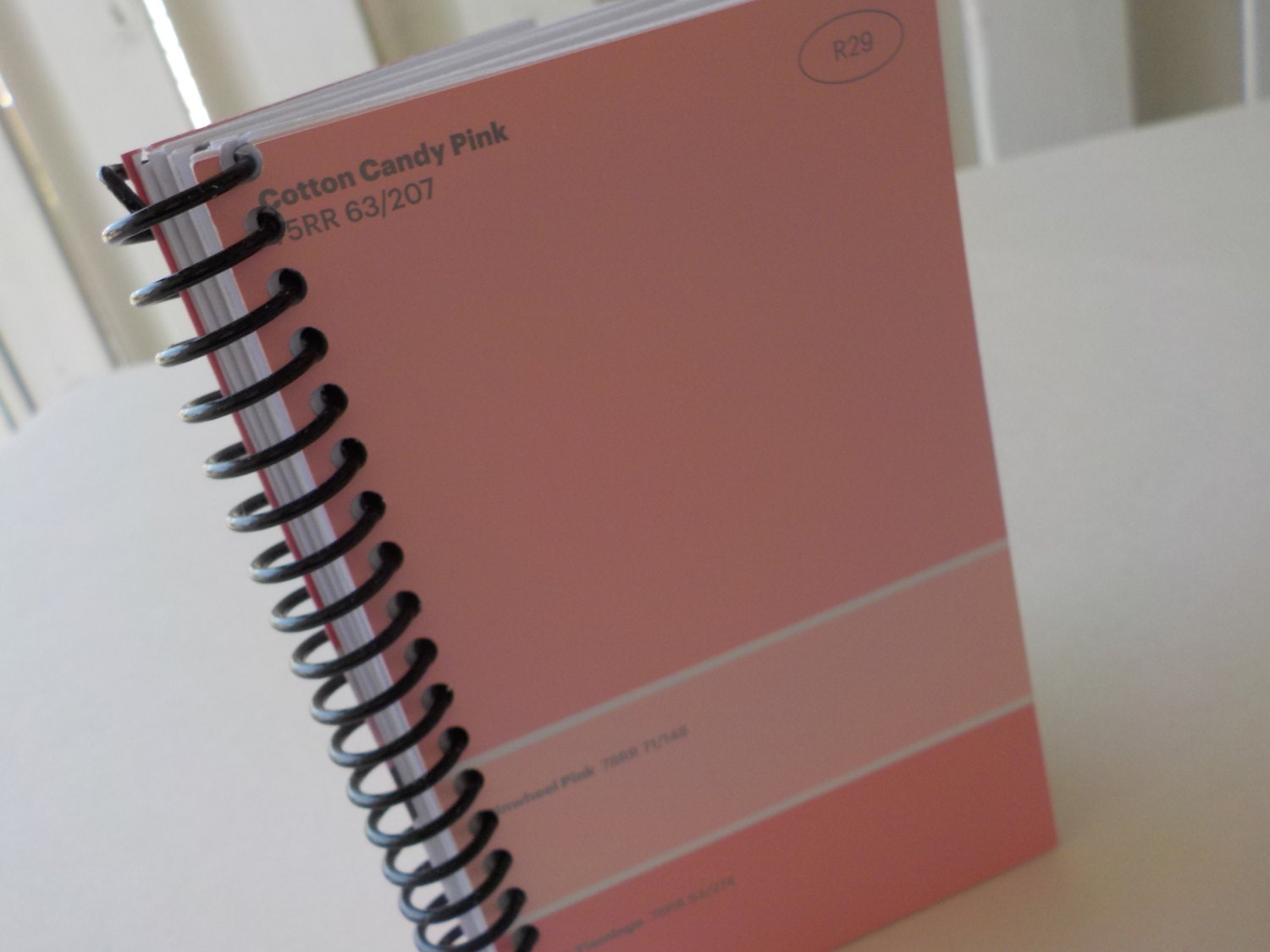 Paint Sample Card Notebook 5.0 X 3.25 100 Sheets Purse