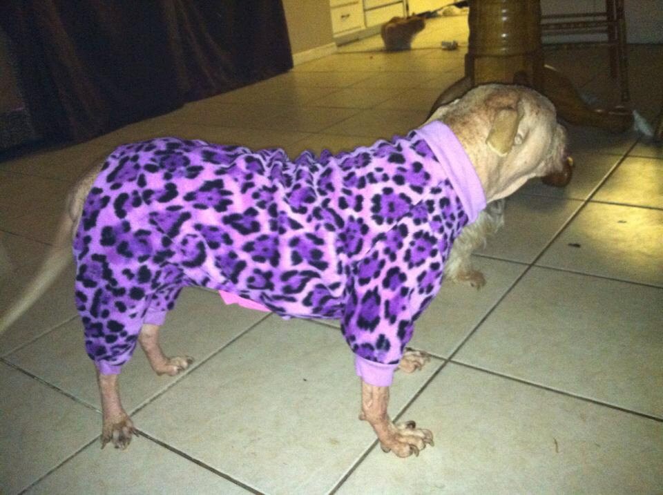 Dog pajama pjs digital download SEWING pattern for larger