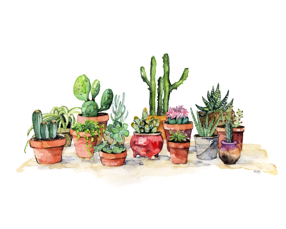 Potted Succulents Painting Watercolor Print titled