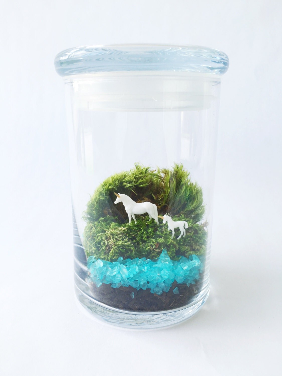 Unicorn Lake Terrarium Jar Terrarium Kit Glass Terrarium