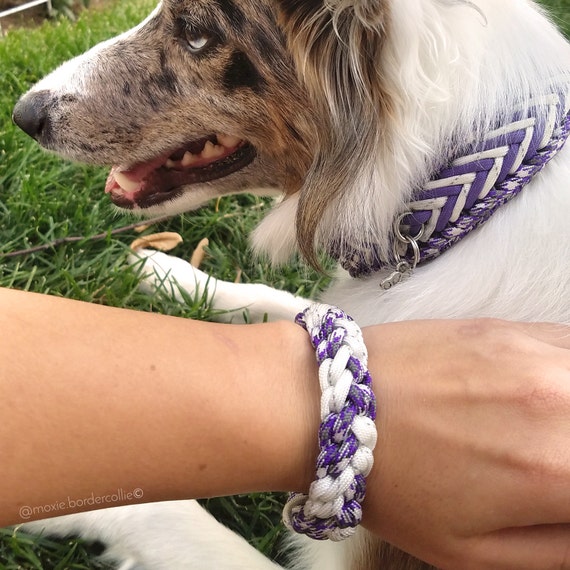 Best Friendship Bracelet addon Dog Collar friendship