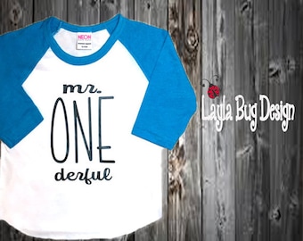 Mr. ONEderful Raglan | Raglan tee for boys | Mr Onederful shirt | Birthday party shirt | first birthday tee | boys first birthday